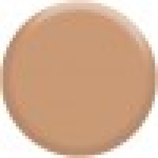 Md Professionnel Invisible Cover Foundation 04 Honey 30g