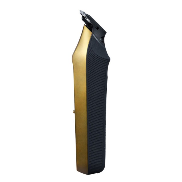 Επαγγελματικό Trimmer Panasonic The Barikan ER-XT70 Gold